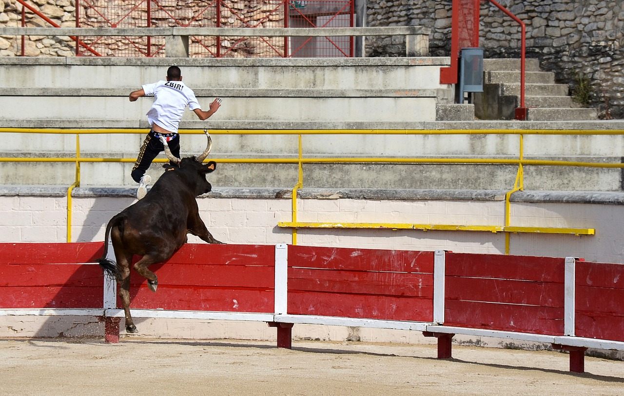 报道
