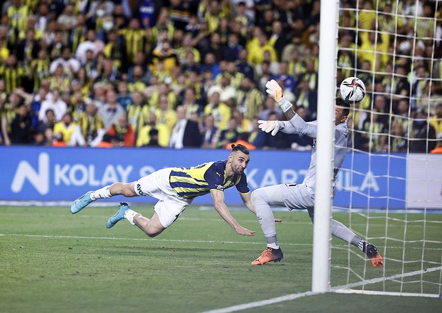 诺维奇作为 诺维奇作为