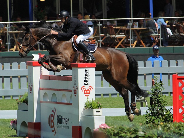 禁区右路果 禁区右路果