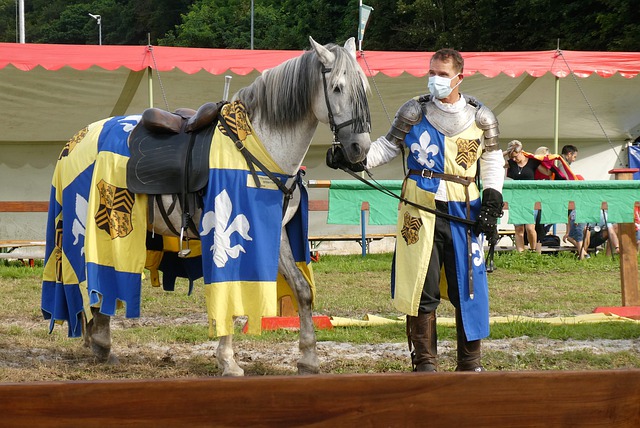 面临诸多挑 面临诸多挑