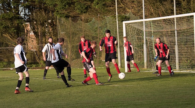 他们需要找 他们需要找